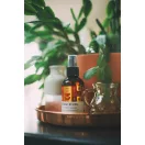 Shear Revival 1926 All Purpose Fragrance – vegán illat testre és otthonra, bergamott, vetiver, tölgymoha 96 g Shear Revival 1926 All Purpose Fragrance – vegán illat testre és otthonra, bergamott, vetiver, tölgymoha 96 g